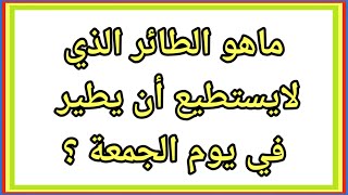 ماهو الطائر الذي لايستطيع الطير يوم الجمعة | أختبر معلوماتك