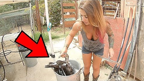 Quickly Processing Duck at Home | Butchering A Duck