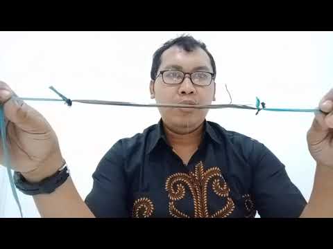 Video: Apakah definisi biologi lokus?