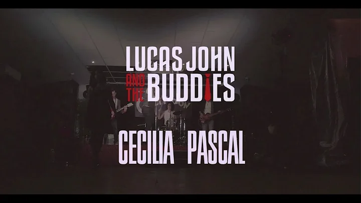 Million Reasons - Lady Gaga (LJBUDS feat. Ccilia P...