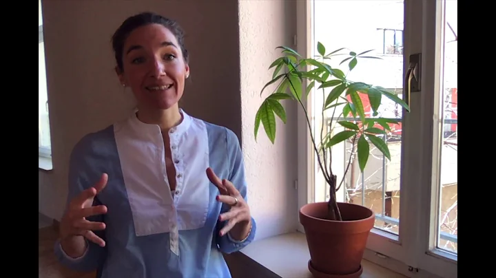 MISTRAL ESR Elizabeth Cote introduction