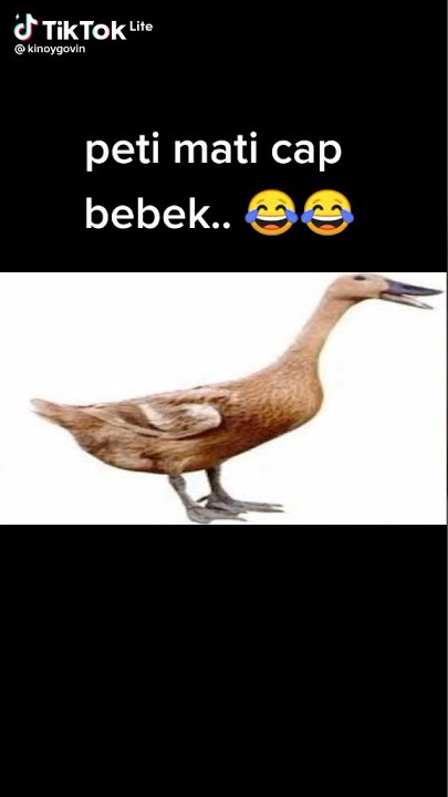 Peti Mati cap Bebek..😂😂
