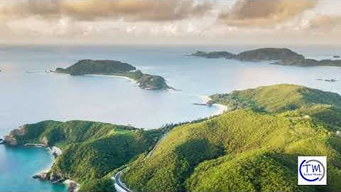 Windows 11 : How to Flush and Register DNS Resolver Cache