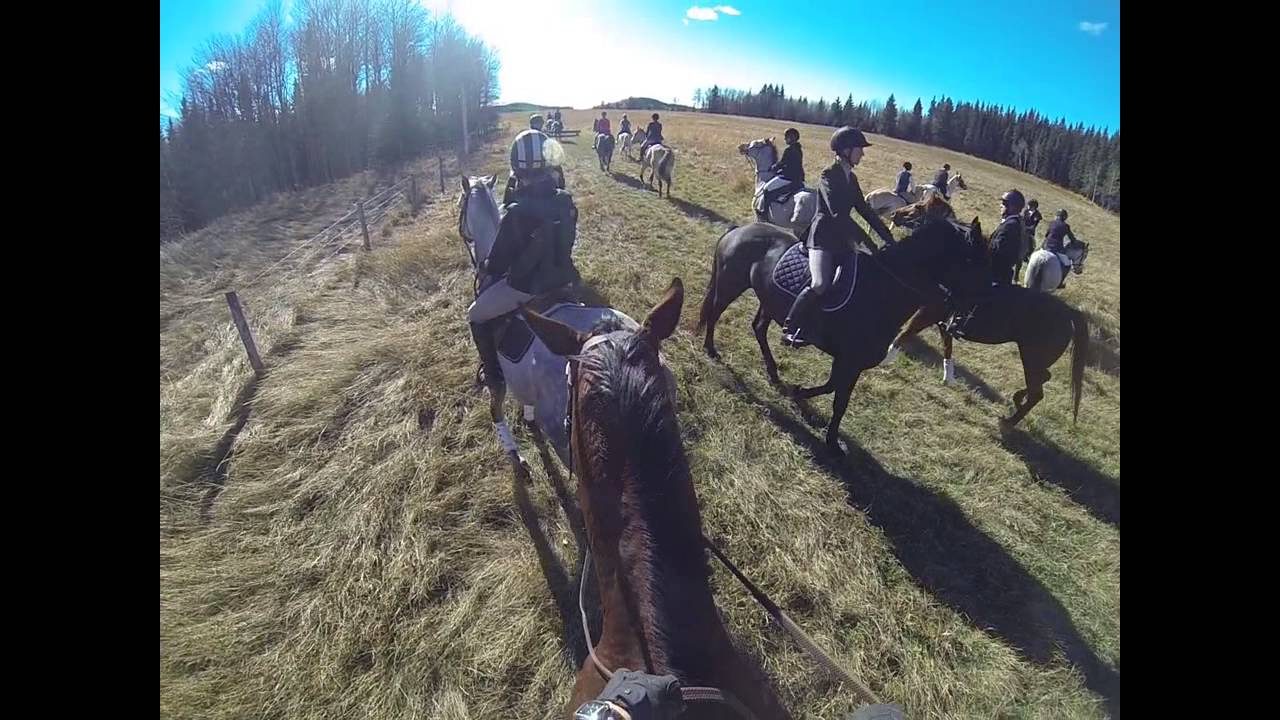 Calgary Hunt ClubEvamy Hagerman Hunt October 12, 2014 YouTube