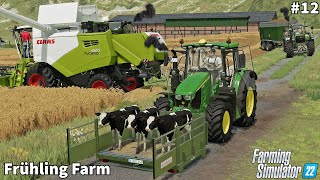 Moving Calf, Barley &amp; Wheat Harvesting│Frühling│FS 22│Timelapse#12