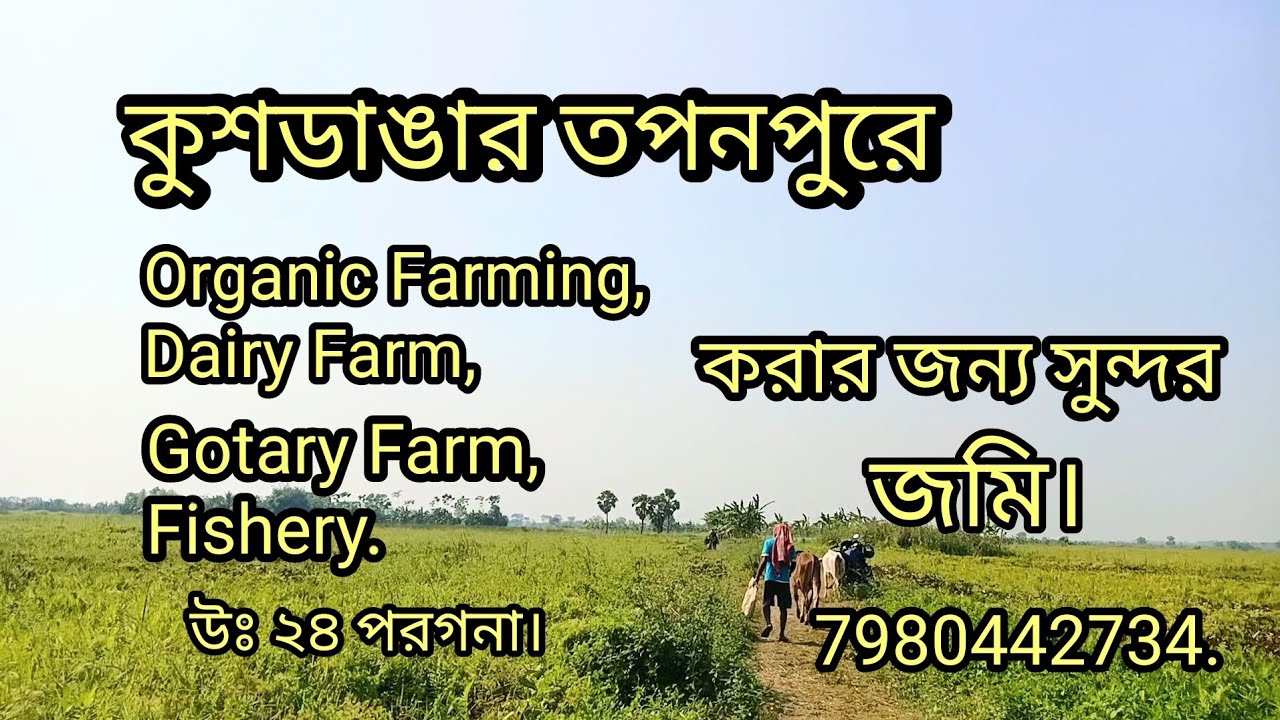 Agricultural Land for Sale (তপনপুর , নীলগঞ্জ বেলে শঙ্কর পুর রোডের কাছে)।