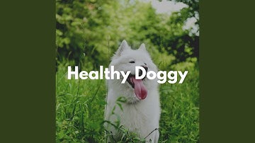 Pulsating Slumbering Pups