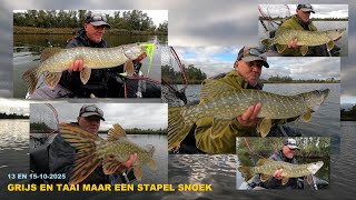 13 En 15 10 2025 Grijs En Taai Maar Toch Veel Mooie Snoeken