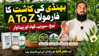 🌱 Bhindi Ki Kheti Ka Complete Guide | Beej Se Lekar Harvest Tak Puri malomaat | IR Farm Crop Plans screenshot 5