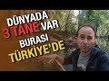 Burası Türkiye'de Desem ! İnanır Mısınız ??? | İğneada'da Kamp