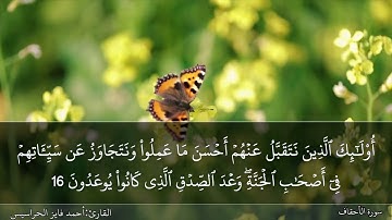الصفحة 504 سورة الأحقاف بصوت القارئ المهندس أحمد فايز الحراسيس