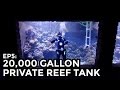 Home 20,000 Gallon Reef Tank, 75,000L - COOLEST THING I'VE EVER MADE: EP5