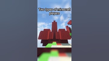 There are Only Two Types of Minecraft Players #minecraft #shorts #funny