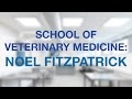 Noel Fitzpatrick on the new School of Veterinary Medicine | University of Surrey