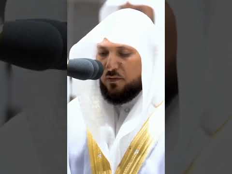 ماهر المعيقلي ض ر ب الل ه م ث ل ا ل ل ذين ك ف ر وا امر أ ت نوح و امر أ ت لوط