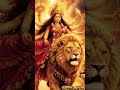 Jai mata di 🌺🌿🙏🌺🙏#bhakti #short #video