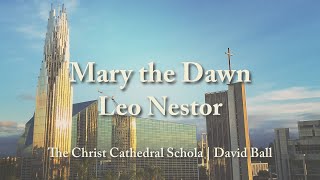 Mary the Dawn | Nestor