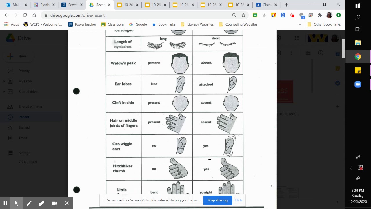 dominant and recessive traits