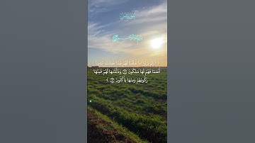 أولم يروا أنا خلقنا لهم مما عملت أيدينا أنعاما فهم لها مالكون || سورة يس القارئ: الحاج عامر الكاظمي