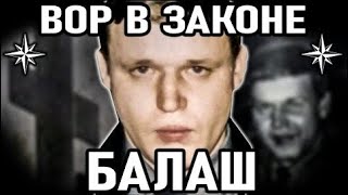 ВОР   В  ЗАКОНЕ   «НИКОЛАЙ  БАЛАШОВ —   БАЛАШ».   СМОТРЯЩИЙ  ЗА  САРАТОВСКОЙ  ОБЛАСТЬЮ.