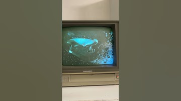 Commodore Model 1802 Monitor In Action