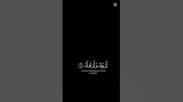سورة الاخلاص القارئ عامر السعيدي