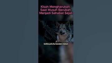 Kisah Mengharukan: Saat Musuh Berubah Menjadi Sahabat Sejati
