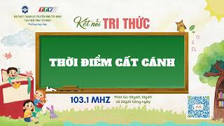 Thời điểm cất cánh | KẾT NỐI TRI THỨC | TayNinhTVAudio