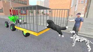 pet Dog ATV cargo transport 3D game simulator_mobil game ply_HD_Leves_6_10_ screenshot 1
