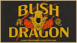 Bush Dragon