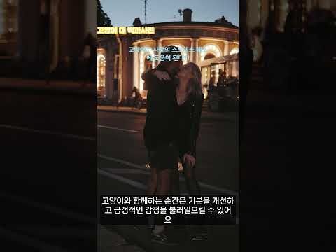 고양이는 사람의 스트레스 해소에 도움이 된다?! #고양이 #집사  #스트레스해소 #고양이스타그램