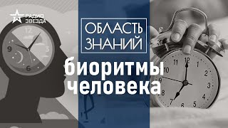 Как работают биологические часы? Лекция биолога-физиолога Владимира Ковальзона