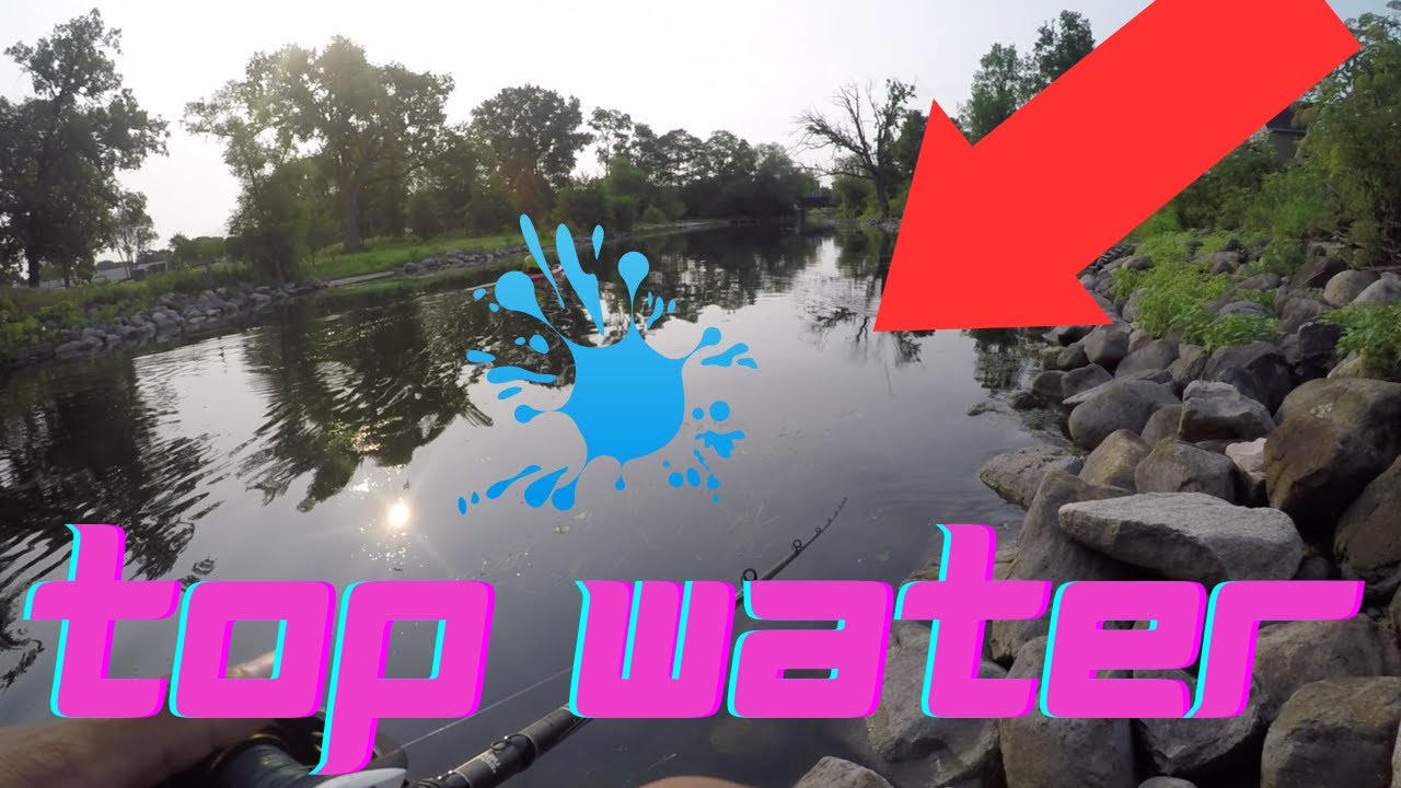Top water ONLY challenge! YouTube