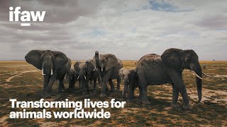 Transforming lives for animals worldwide