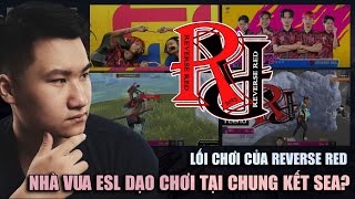 PHÂN TÍCH | Lối chơi của REVERSE RED: Nhà vua ESL sẽ dạo chơi tại chung kết SEA Spring? | BLV Rikaki