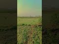 1 din bhi Aisa Na Gaya Ho To Maine Tujhe Yad na Kiya #viral #viralvideo #funny #short