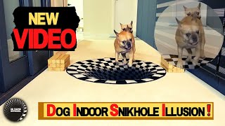 🐶 Funny Dog Indoor Sinkhole Illusion video - 😂 best compilation #dogsfunnyvideo #IndoorSinkhole