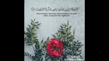 الأخلاء يومئذ بعضهم لبعض عدو إلا المتقين / القارئ عبدالله باخطيب