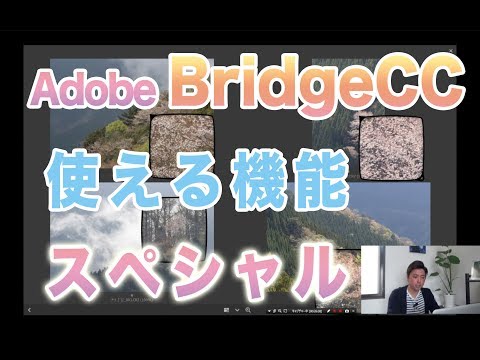 【Adobe BridgeCC 使える機能スペシャル】 ACE塚本