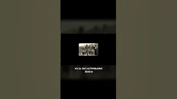 Туранские тигры в Узбекистане #shorts