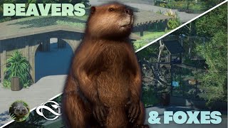 Finishing North America! Beaver & Arctic Fox Enclosures | Oakwood Zoo
