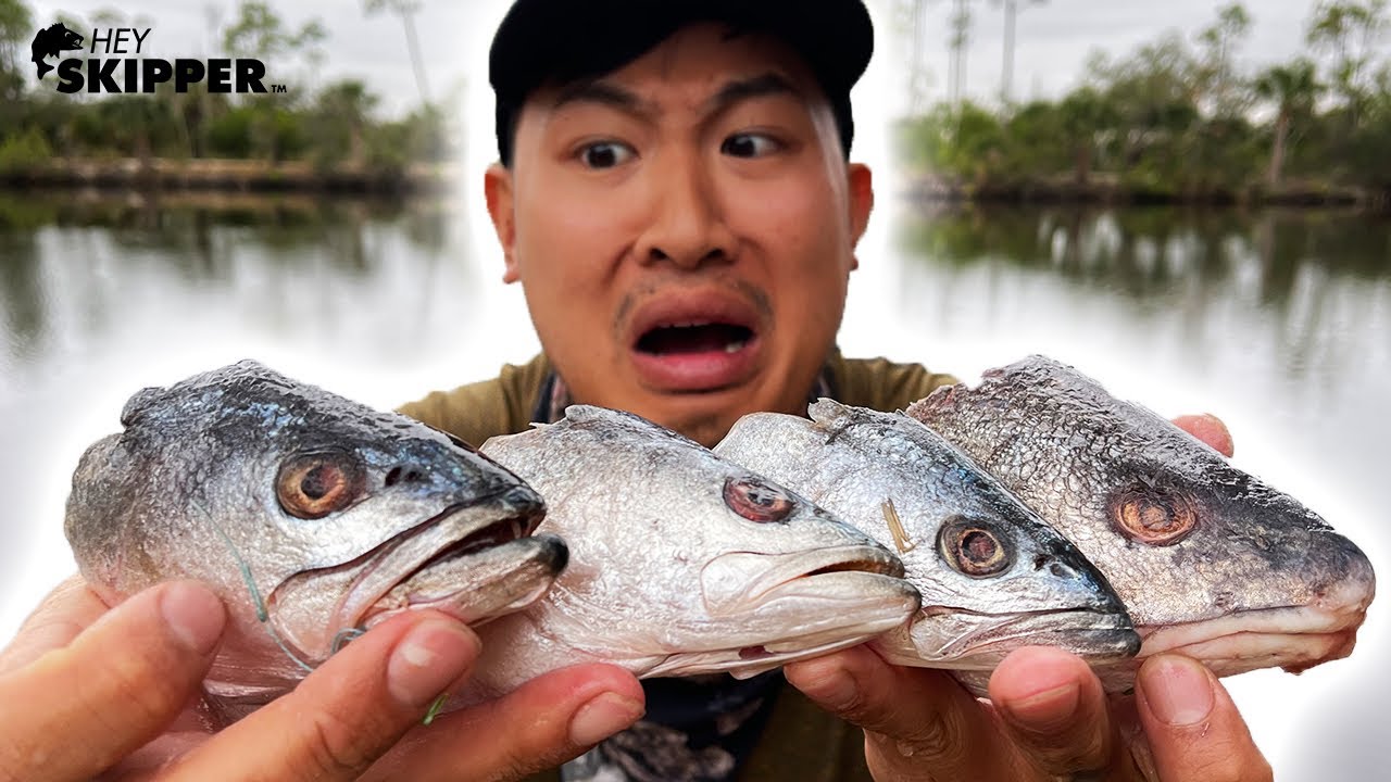 Stinky FISH HEADS for bait? Catch and cook 