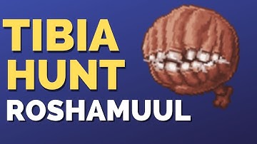 Roshamuul Hunt - West / Bones - RP - Tibia