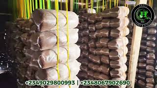 HASET FARMS MUSHROOM 🍄 INCUBATION ROOM HASET FARMS MUSHROOM 🍄 INCUBATION ROOM