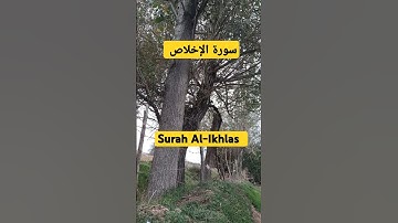 تلاوة خاشعة لسورة الإخلاص #قرآن كريم #مصحف#اكسبلور