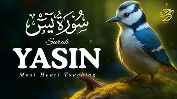 Surah Yasin (Yaseen) for Healing | Relieve Stress, Depression & Anxiety | سورة يس
