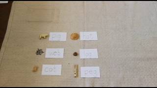 Montessori Language three letter phonetic words, matching to objects