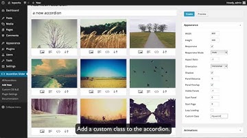 Adding custom CSS in Accordion Slider