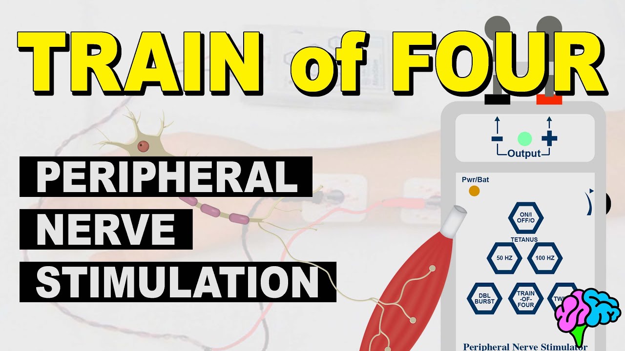 Peripheral Nerve Stimulator - Train of Four Monitoring: Overview