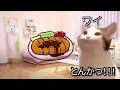【猫ミーム】アルコール肝炎を放置して酒を飲み続けた結果